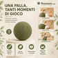 🐱🌿 PALLA GIGANTE DI ERBA GATTA NATURALE 10 cm – 50% DI SCONTO! Giocattolo da Masticare per Gatti, Interattivo alla Menta, Allevia lo Stress e Pulisce i Denti! 🧶✨