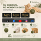 🐱🌿 PALLA GIGANTE DI ERBA GATTA NATURALE 10 cm – 50% DI SCONTO! Giocattolo da Masticare per Gatti, Interattivo alla Menta, Allevia lo Stress e Pulisce i Denti! 🧶✨