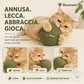 🐱🌿 PALLA GIGANTE DI ERBA GATTA NATURALE 10 cm – 50% DI SCONTO! Giocattolo da Masticare per Gatti, Interattivo alla Menta, Allevia lo Stress e Pulisce i Denti! 🧶✨