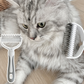 💖Offerte imperdibili 2026💖  Rastrello per toelettatura animali domestici a doppia faccia