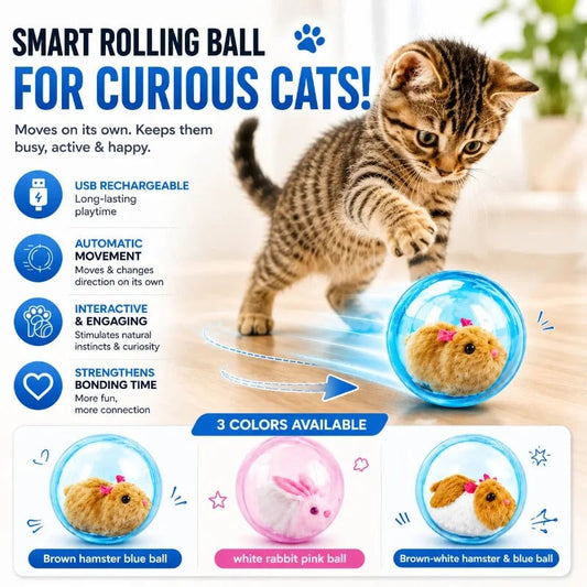🥳2026 HOT SALE🥳💞50K+ SOLD! 💖🐱Self-Rolling Interactive Cat Ball